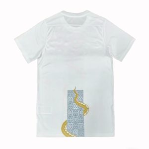 Tottenham Hotspur 2025-26 Camiseta de entrenamiento