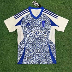 Granada 2024-25 Camiseta visitante