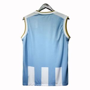 Paysandu 2025-26 Singlet