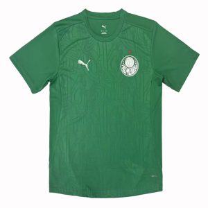 Palmeiras 2025-26 Camiseta de entrenamiento