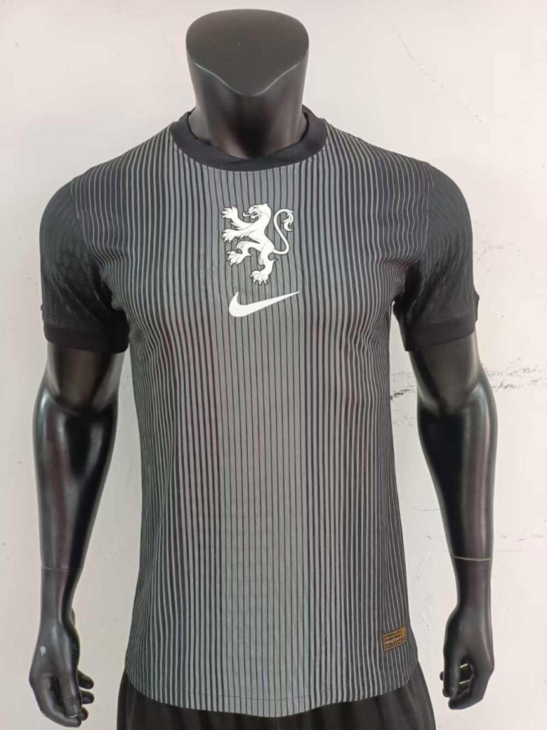 Países Bajos 2025-26 Camiseta de portero versión jugador