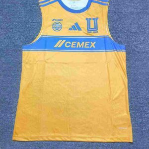 Tigres UANL 2025-26 Local Singlet
