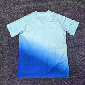 Túnez 2025 Camiseta de entrenamiento