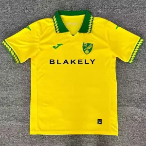 Norwich City 2025-26 Camiseta local