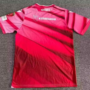 Bolton Wanderers 2025-26 Tercera camiseta