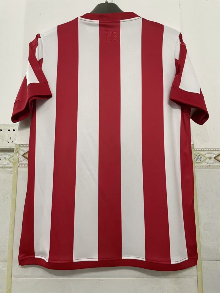 Chivas Guadalajara 115th Anniversary Edition Camiseta