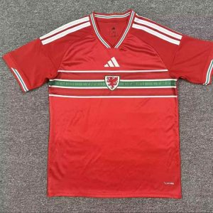 Gales 20025-26 Camiseta local