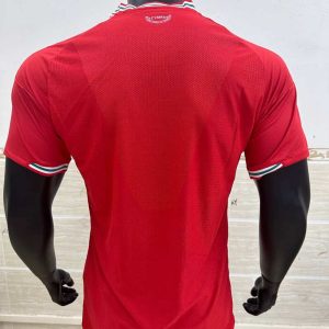 Gales 20025-26 Camiseta local versión jugador