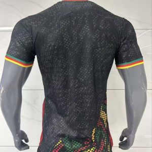 Camerún 2026 Special Edition Camiseta versión jugador