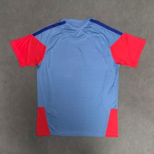 Japón 2026 FIFA World Cup Camiseta de entrenamiento