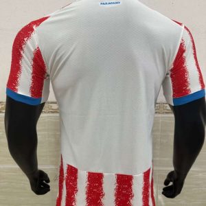 Paraguay 2026 FIFA World Cup Camiseta local versión jugador